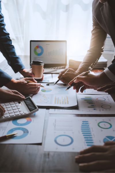 SAP FI Consulting
